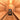 Calore Black Cedar Barrel Sauna-Elite Sauna Direct-Traditional barrel saunas for sale USA