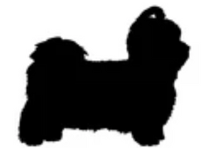 Small Breed