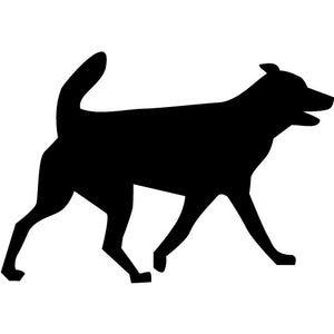 Medium Breed