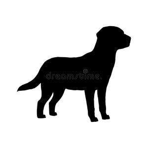 Large Breed