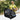Tecnotu Ultra Hard Shell 2.0ATA TecnoSit Personal Hyperbaric Chamber